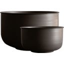 DBKD PLANT OUT WIDE - Set da 2 Pezzi - Marrone