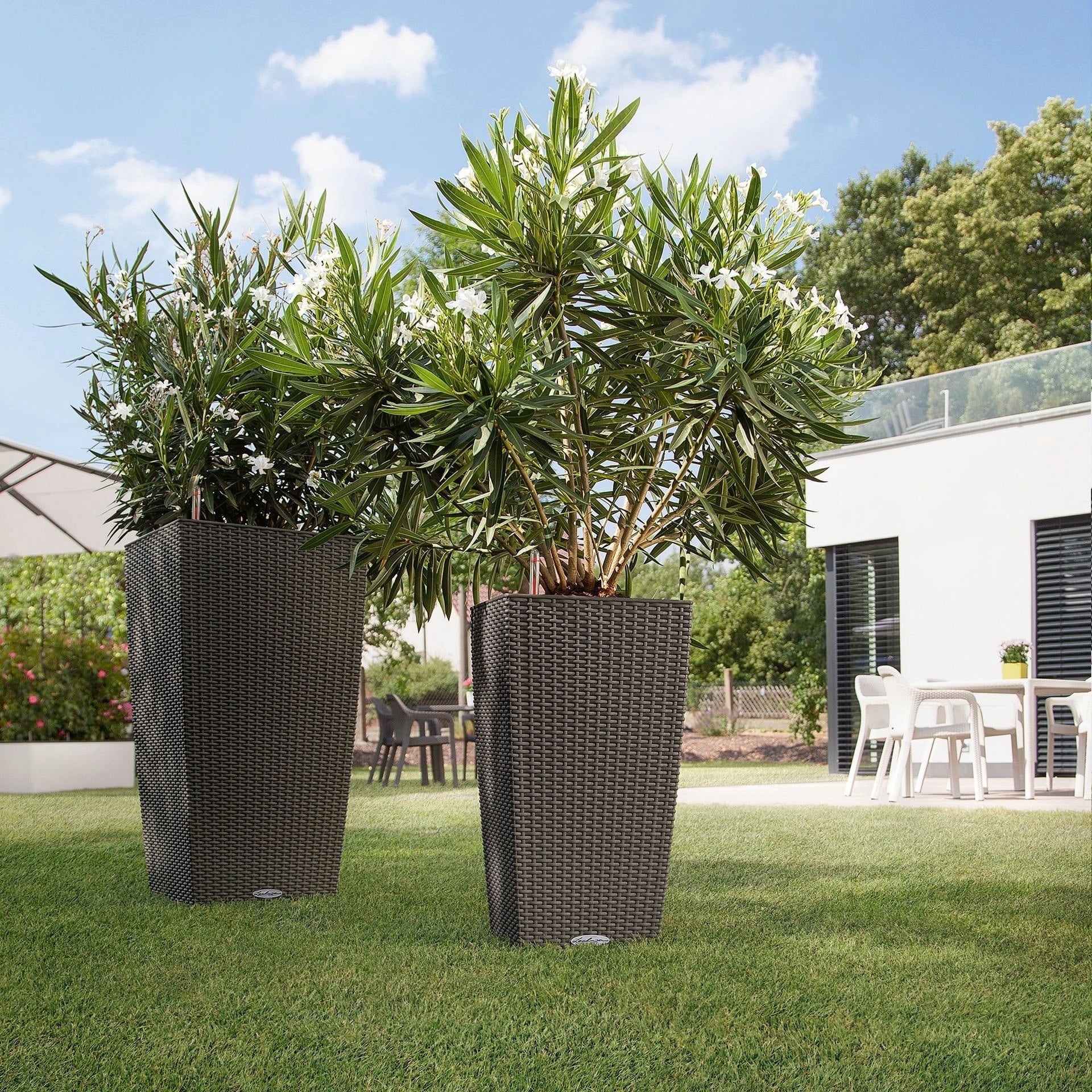 Lechuza CUBICO Cottage 40 Planter