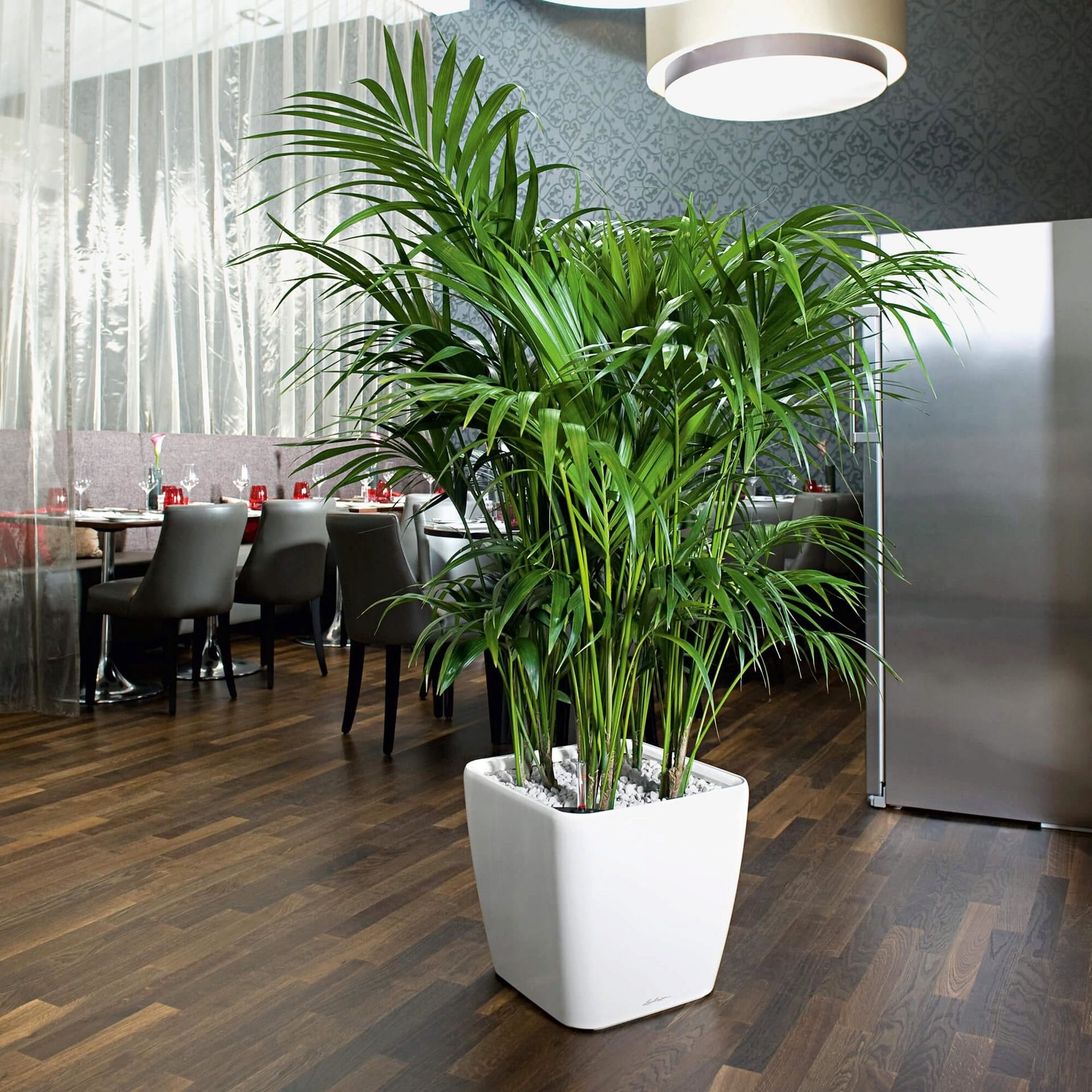 Lechuza QUADRO Premium LS 43 Planter