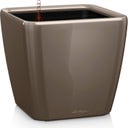Lechuza Vaso - QUADRO Premium LS 50 - taupe lucido