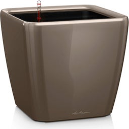 Lechuza Vaso - QUADRO Premium LS 50 - taupe lucido