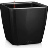 Lechuza Okrasni lonec QUADRO Premium LS 50