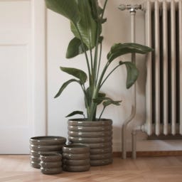 DBKD Blumentopf MUD - S