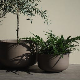 DBKD PLANT OUT WIDE - Set da 2 Pezzi - Marrone