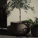 DBKD PLANT OUT WIDE - Set da 2 Pezzi - Marrone