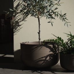 DBKD PLANT OUT WIDE - Set da 2 Pezzi - Marrone