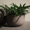 DBKD PLANT OUT WIDE - Set da 2 Pezzi - Marrone