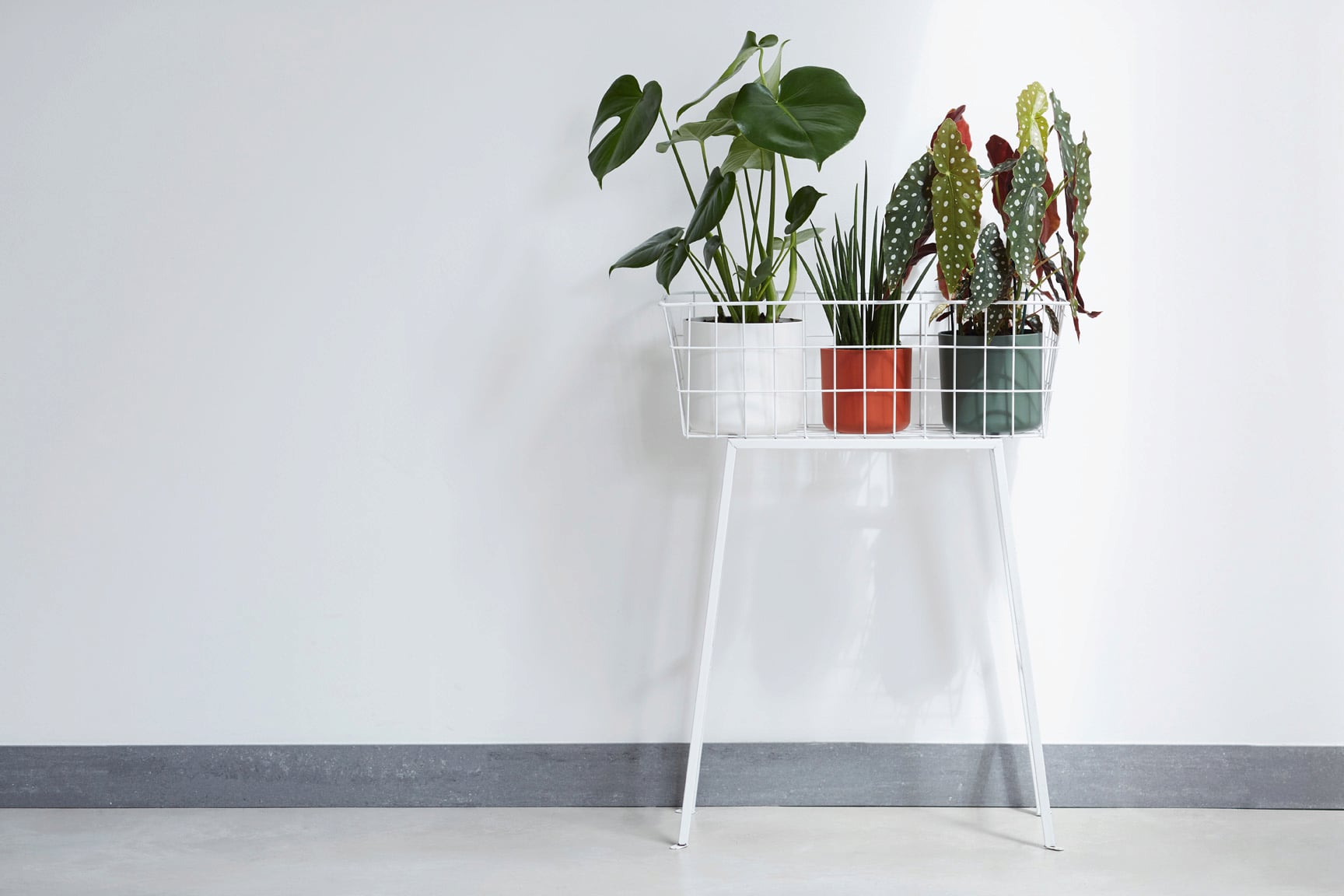 elho Cache-Pot B.FOR Soft Rond - Blanc