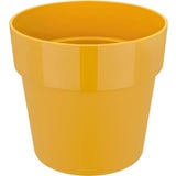 elho b.for original round, 18 cm