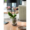Deroma Orchideeënpot 
