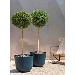Deroma Plantenpot 
