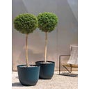Deroma Plantenpot 