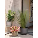 Deroma Plantenpot 