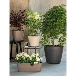 Deroma Plantenpot 