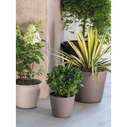Deroma Plantenpot 
