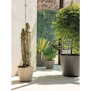 Deroma Plantenpot 
