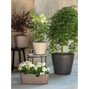 Deroma Plantenpot 