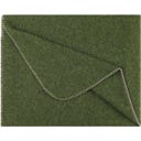 Steiner 1888 Coperta Alina