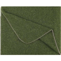 Steiner 1888 Coperta Alina
