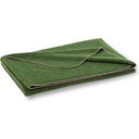Steiner 1888 Coperta Alina