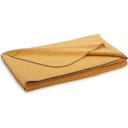 Steiner 1888 Coperta Alina