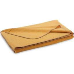 Steiner 1888 Coperta Alina