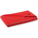 Steiner 1888 Coperta Alina