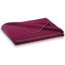 Steiner 1888 Coperta Alina
