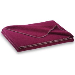 Steiner 1888 Coperta Alina