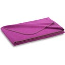 Steiner 1888 Coperta Alina