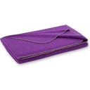 Steiner 1888 Coperta Alina