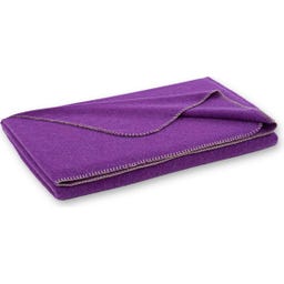 Steiner 1888 Coperta Alina