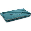 Steiner 1888 Coperta Alina