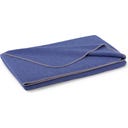 Steiner 1888 Coperta Alina