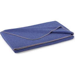 Steiner 1888 Coperta Alina
