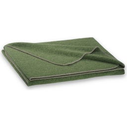 Steiner 1888 Coperta Alina