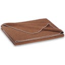 Steiner 1888 Coperta Alina