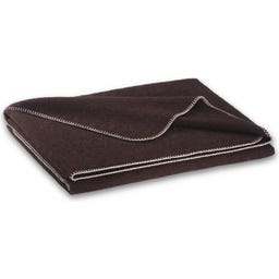 Steiner 1888 Coperta Alina