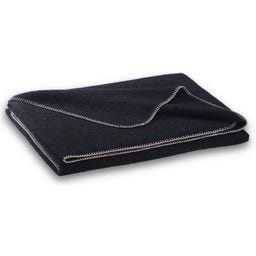 Steiner 1888 Coperta Alina