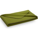 Steiner 1888 Coperta Alina