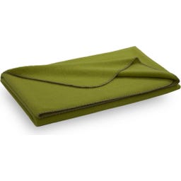 Steiner 1888 Coperta Alina