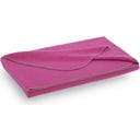 Steiner 1888 Coperta Alina