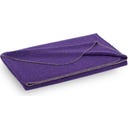 Steiner 1888 Coperta Alina