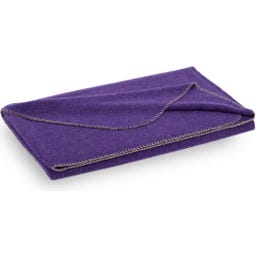 Steiner 1888 Coperta Alina