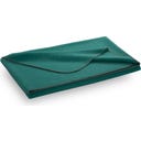Steiner 1888 Coperta Alina