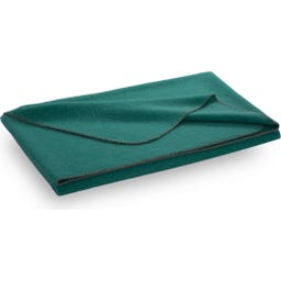 Steiner 1888 Coperta Alina