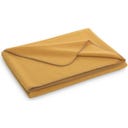 Steiner 1888 Coperta Alina