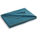 Steiner 1888 Coperta Alina