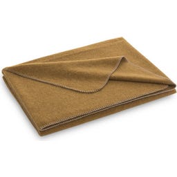 Steiner 1888 Coperta Alina