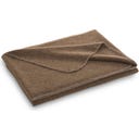 Steiner 1888 Coperta Alina